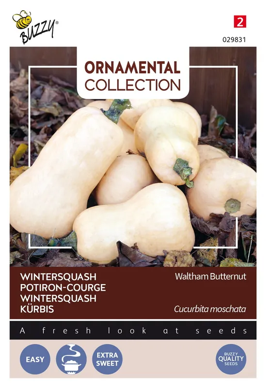 Buzzy® Ornamental Wintersquash Waltham Butternut - Prijsverlaging