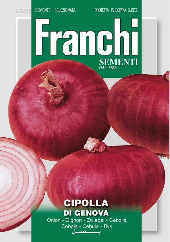 Fr Ui, Cipolla di genova 42/5 - Zojuist toegevoegd