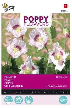Zolang de voorraad strekt | Buzzy® Poppy Flowers, Papaver Blauwmaanzaad