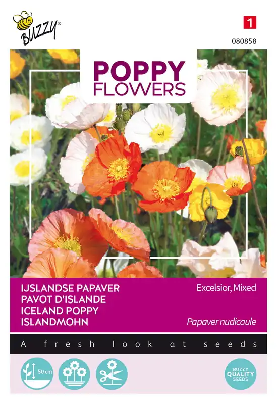 Beperkte voorraad | Buzzy® Poppy Flowers, IJslandse papaver