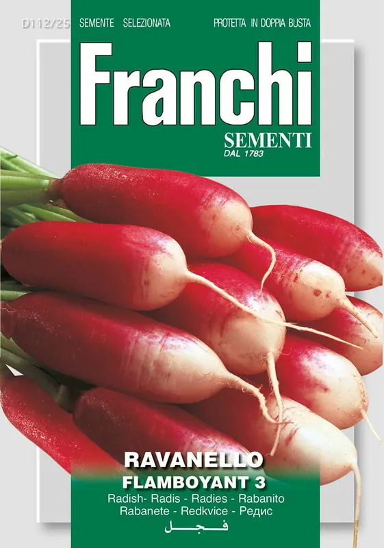 Fr Radijs, Ravanello Flamboyant 3 112/25 | Online bestelbaar