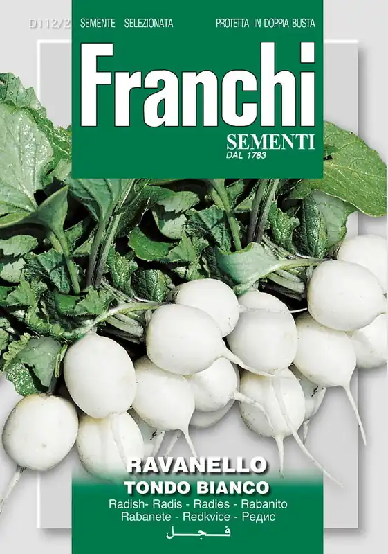 Fr Radijs, Ravanello Tondo Bianco 112/2 - Populair bij klanten