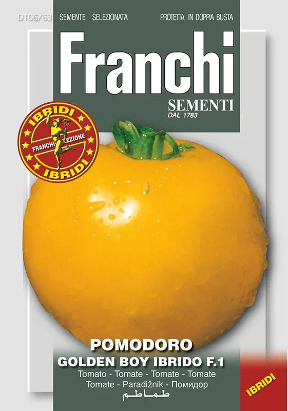 Fr Tomaat, Pomodori Golden Boy HY F1 106/63 - Prijsverlaging