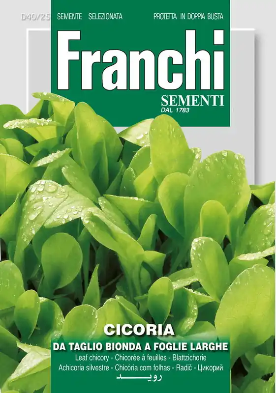 Fr Cichorei, Cicoria Bonda foglie larghe 40/25 | Lage prijs