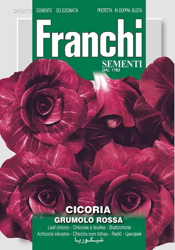 Veilig winkelen | Fr Cichorei, Cicoria Rossa di Verona Tardiva 40/72