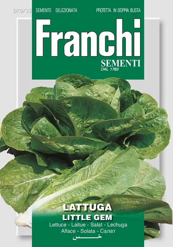 Fr Sla, Lattuga little gem 79/38 - Net gelanceerd