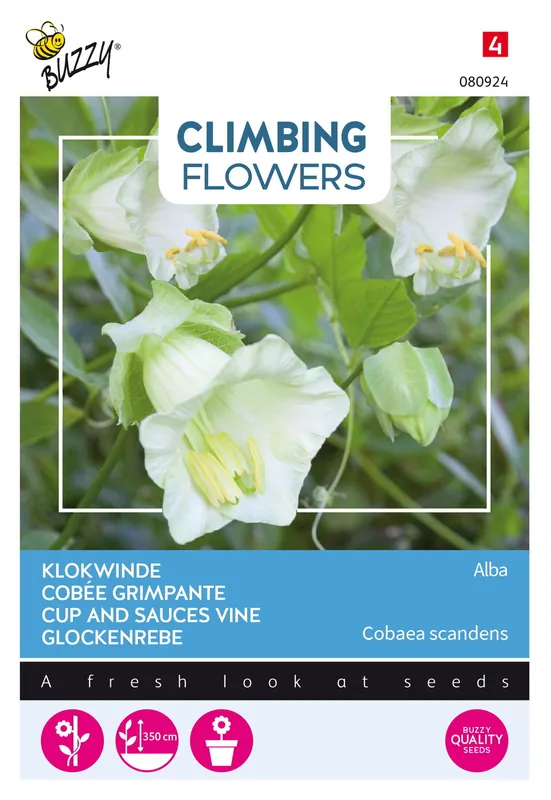 Buzzy® Climbing Flowers, Cobaea Alba Wit - Bespaar meer