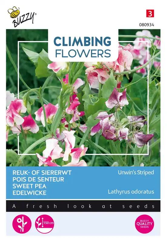 Buzzy® Climbing Flowers, Lathyrus Unwin‘s Striped | Snelle levering