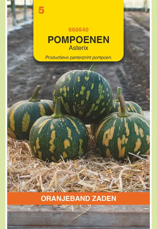Goed beoordeeld | OBZ Pompoenen Asterix (Panterprint)