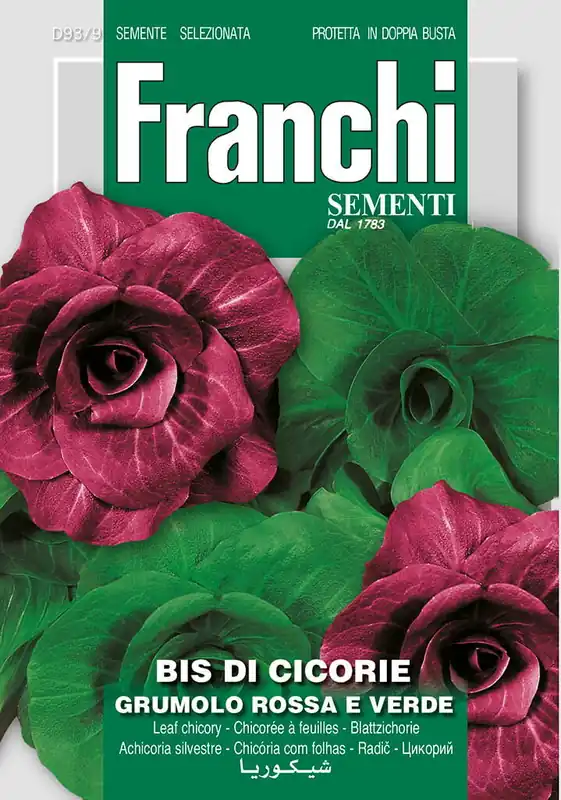 Favoriet van klanten - Fr Cichorei bis di cicorie Grumolo rosse e verde 93/9