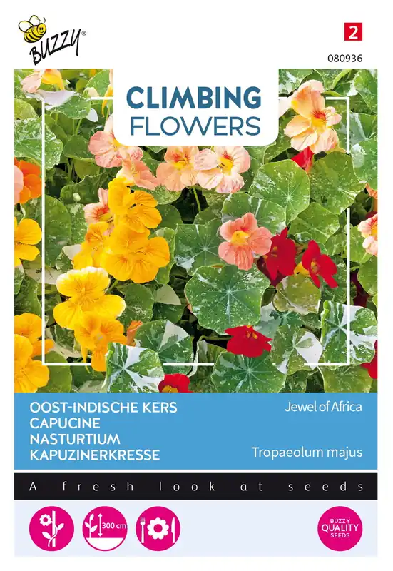 Klaar voor verzending - Buzzy® Climbing Flowers, Tropaeolum Jewel of Africa