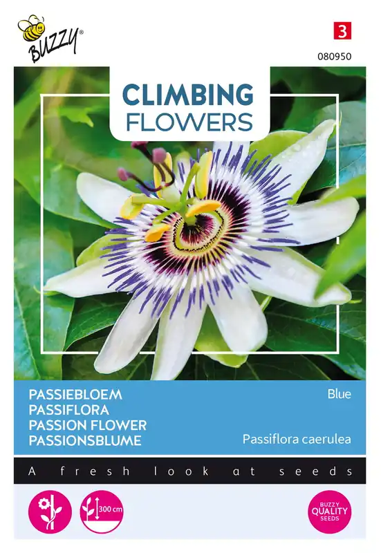 Buzzy® Climbing Flowers, Passiebloem Blauw | Bestel nu