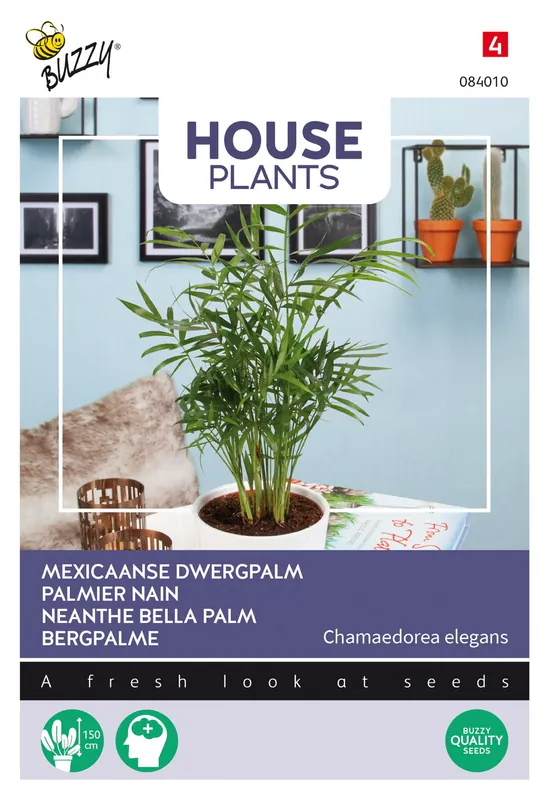 Topproduct - Buzzy® House Plants Chamaedorea, Dwergpalm