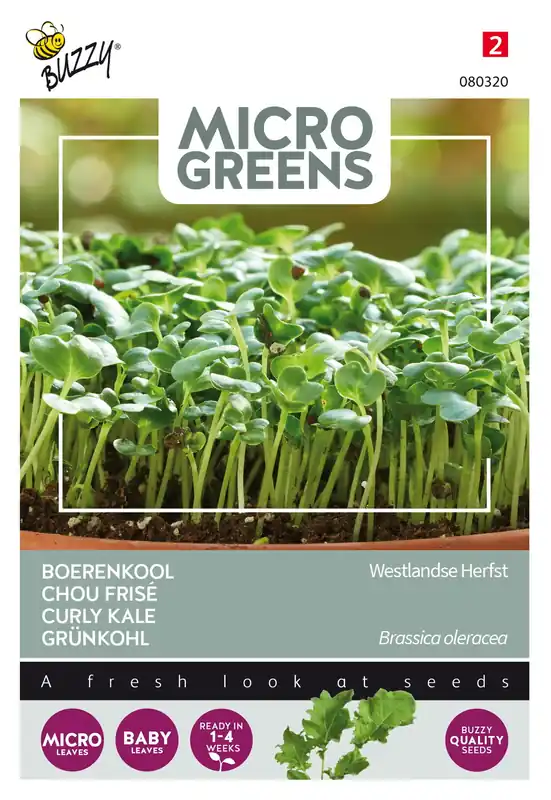 Buzzy® Microgreens, Boerenkool Westlandse Herfst | Klaar voor verzending