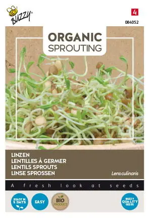 Premium | Buzzy® Organic Sprouting Linzen (BIO)