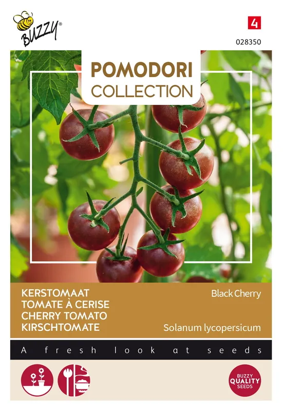 Buzzy® Pomodori, Kerstomaat Black Cherry | Op voorraad