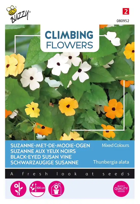 Bijna uitverkocht - Buzzy® Climbing Flowers Thunbergia, Suzanne-met-mooie-ogen