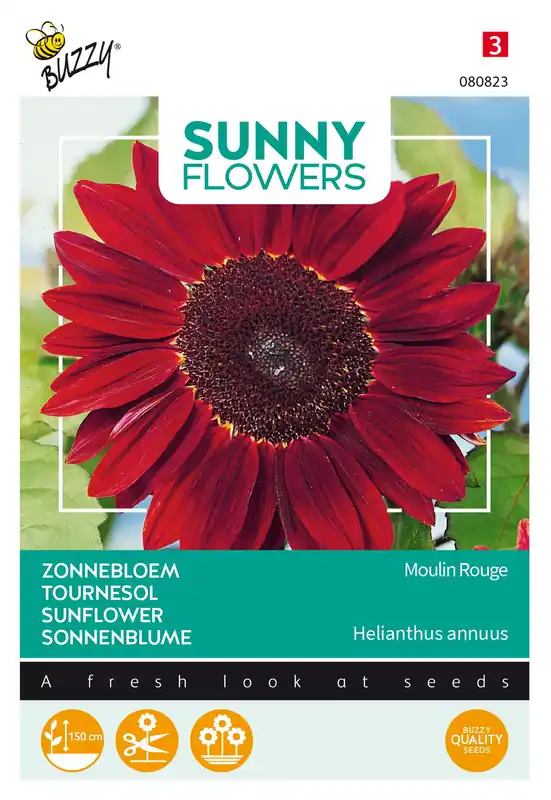 Premiumkwaliteit | Buzzy® Sunny Flowers, Zonnebloem Moulin Rouge