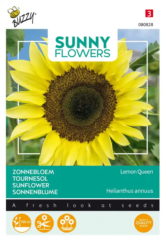 Buzzy® Sunny Flowers, Zonnebloem Lemon Queen - Populair bij klanten