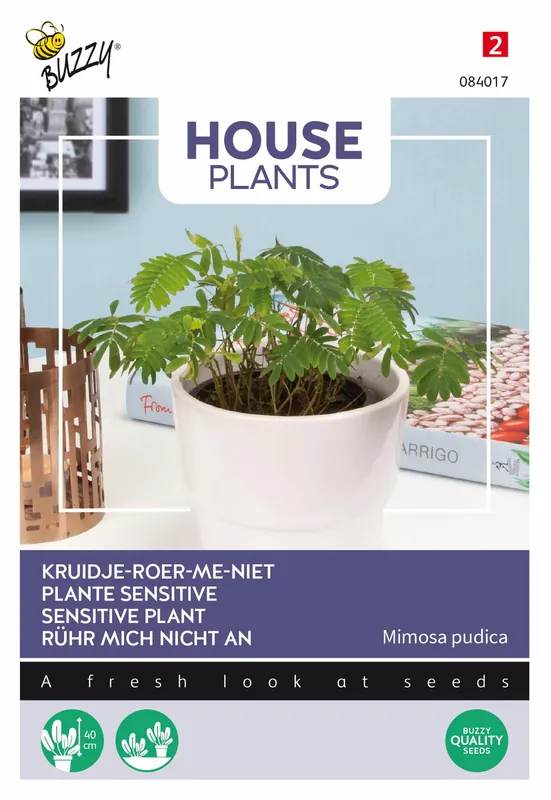 Buzzy® House Plants Mimosa pudica, Kruidje roer me niet | Nieuw gelanceerd