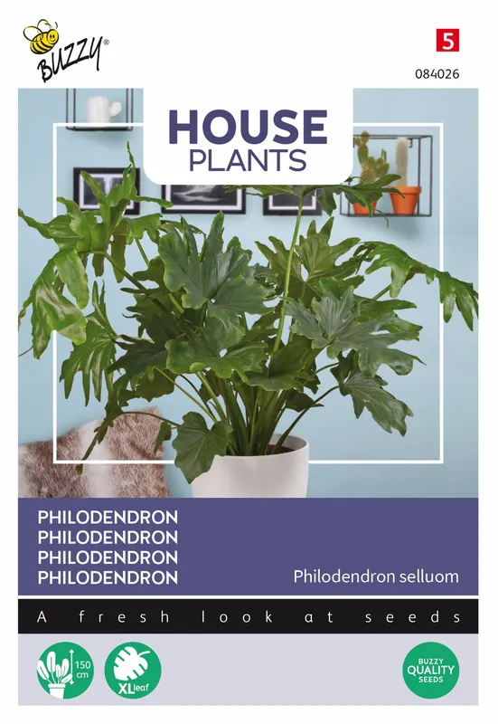 Buzzy® House Plants Philodendron Selluom - Sale