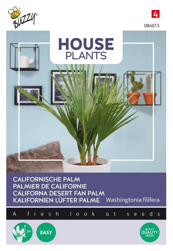 Buzzy® House Plants Californische palm | Veilige betaling