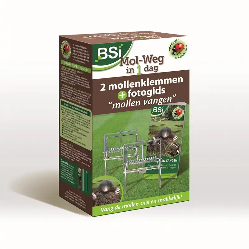 BSI Mol weg in 1 dag - Trending