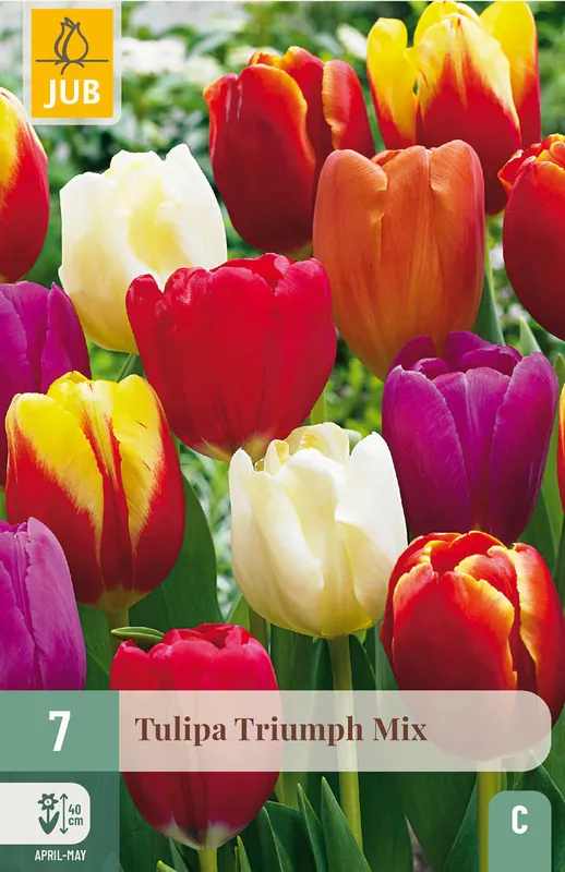 Veilige betaling - JUB X 7 Tulipa Triumph Mix