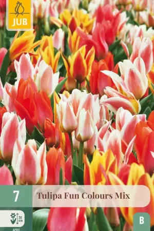 Actie | JUB X 7 Tulipa Fun Colours