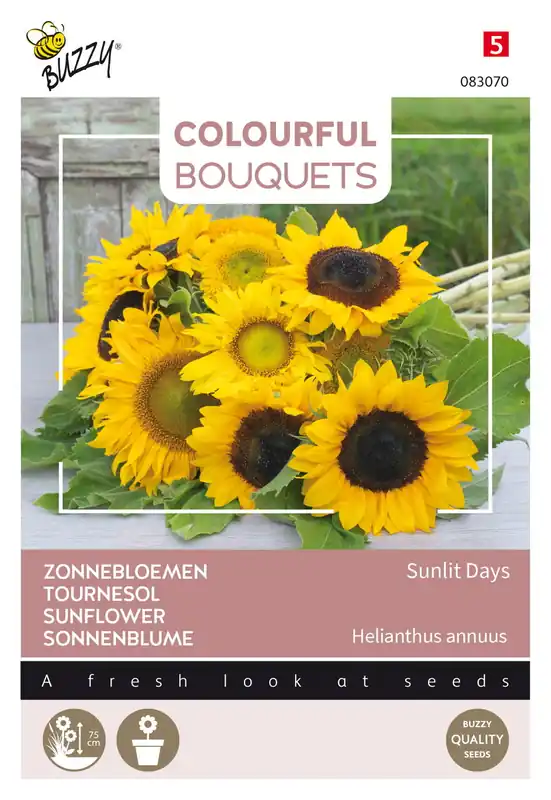 Voordeelprijs - Buzzy® Colourful Bouquets, Sunlit Days (zonnebloem