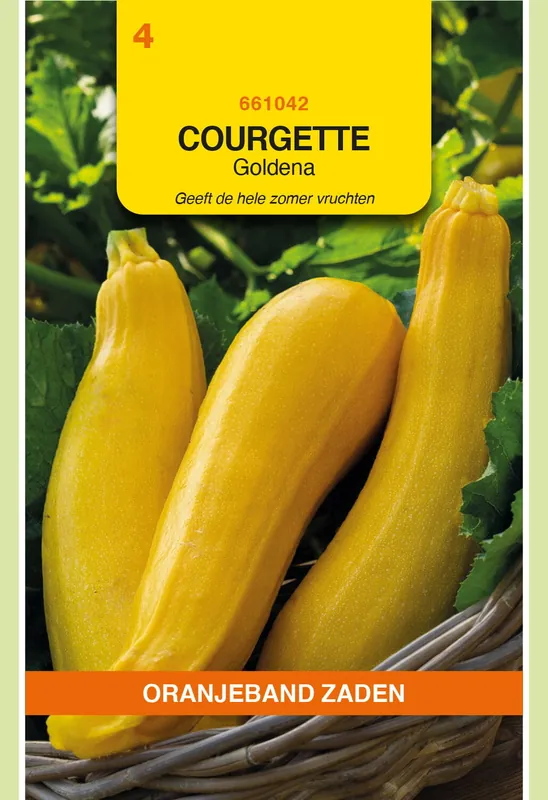 Hoog gewaardeerd - OBZ Courgette Goldena