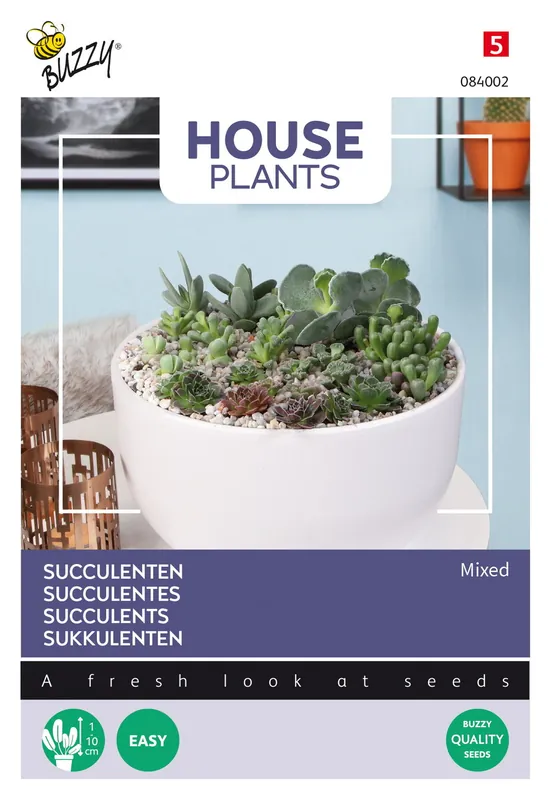 Buzzy® House Plants Mixed Succulents, vetplanten - Bespaar nu