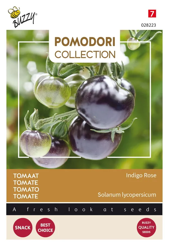 Buzzy® Pomodori Tomaat Indigo rose (zwart) | Meest verkocht