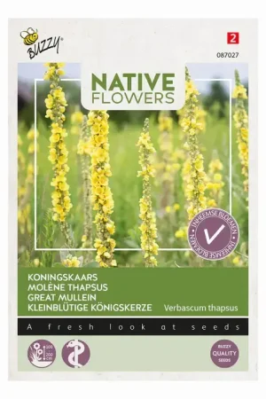 Zolang de voorraad strekt | Buzzy Inheemse koningskaars 0.1g