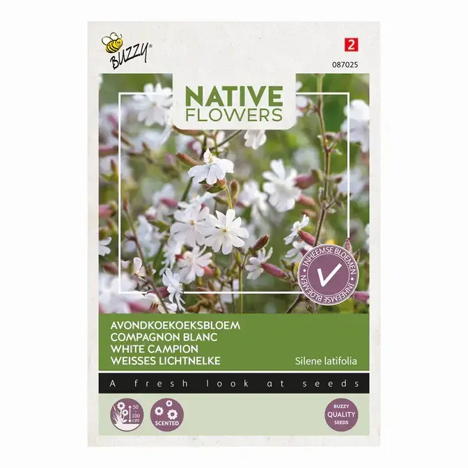 Buzzy Inheemse avondkoekoeksbloem 0.1g | Voordeelprijs