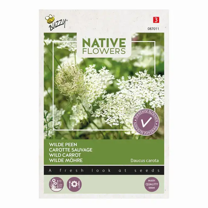 Buzzy Inheemse wilde peen 0.1g | Nieuw in de shop