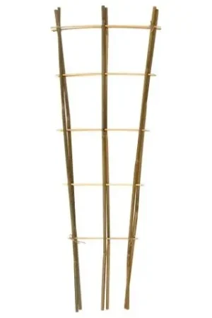 Bamboeplantrekje h90b26cm s2st - Extra korting