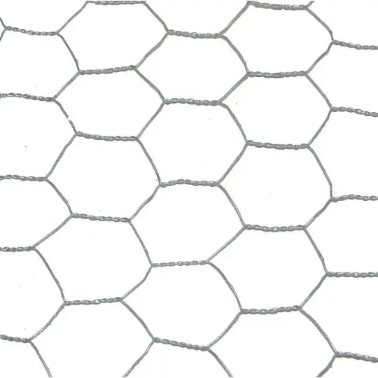 Actieprijs | Nature Gaas zeskantig b1.5l5m 25mm verz.