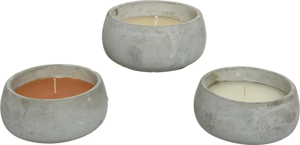 Decoris citronella in cement pot Ø13xH6 cm 3 assorti | Klaar voor verzending