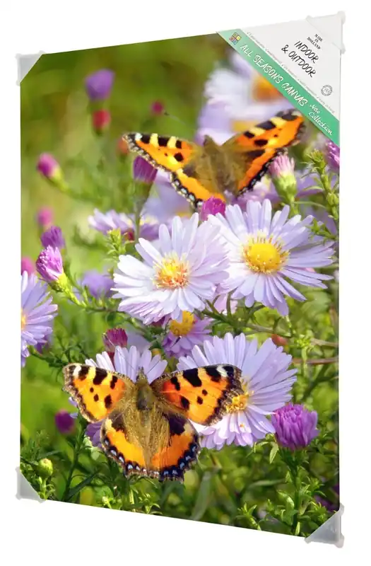 All seasons Vlinders op bloemen 50x70CM | Wees er snel bij
