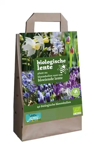 Direct kopen - Tas bollen biologische lente 40st