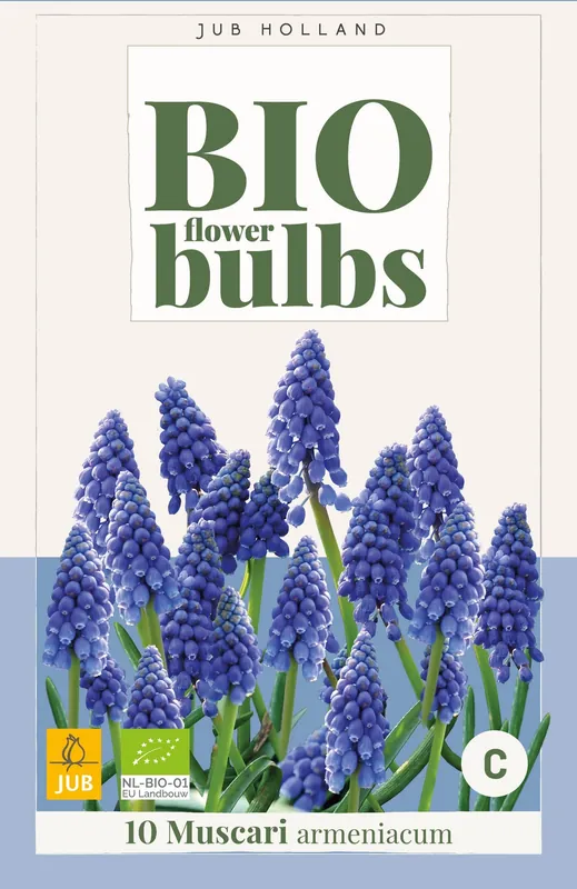 Veilig winkelen | Bio muscari armeniacum 10st