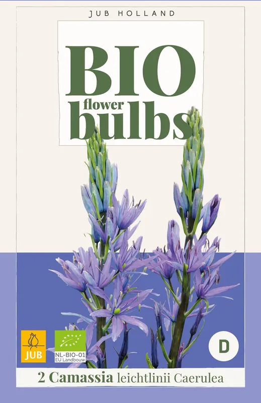Bio camassia leichtl. caerulea 2st - Uitverkoop