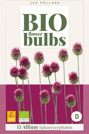 Allium sphaerocephalon 15st - Voeg toe aan winkelwagen