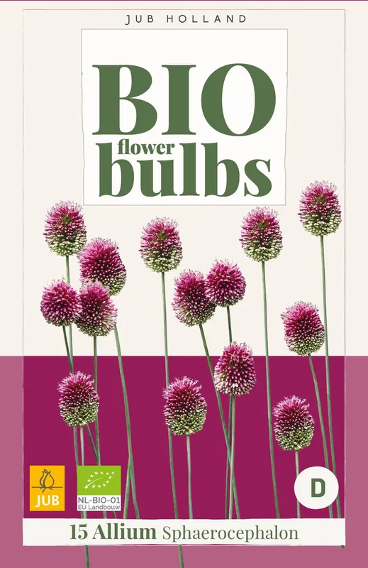 Allium sphaerocephalon 15st - Voeg toe aan winkelwagen