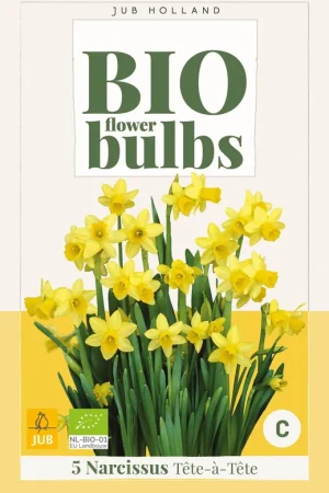 Aanbieding loopt bijna af - Narcissus tete-a-tete 5st