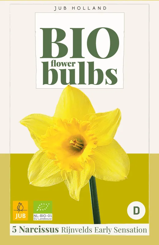 Snelle levering - Narcissus rijnvelds early sens. 5st