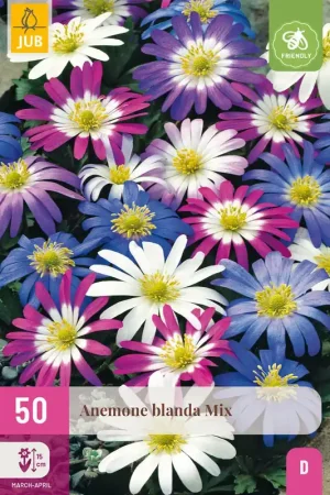 Anemone blanda mix 50st | Bestelbaar