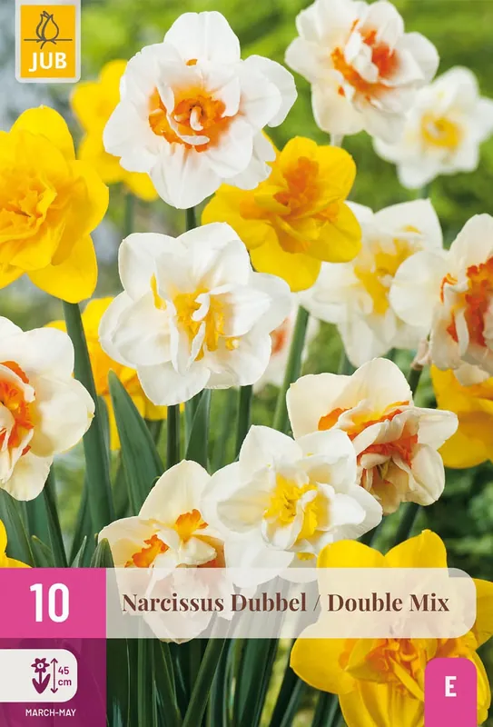Narcissen dubbel mix 10st | Aanrader