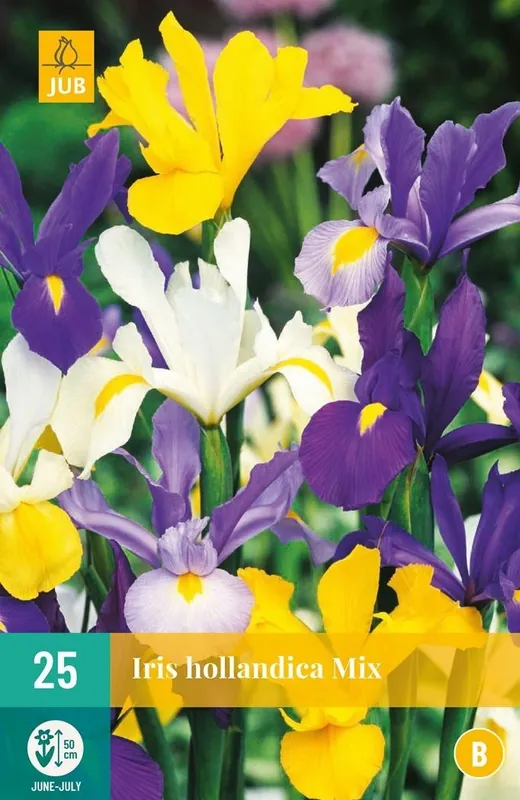 Wees er snel bij - JUB X 25 Iris hollandica Mix